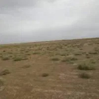 یک هکتار زمین کشاورزی با سند تک برگ
