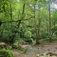 فروش زمین روستای للارود رودسر