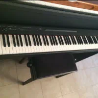 پیانو کرگ lp380 زیر قیمت