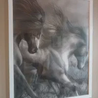 تابلونقاشی سیاه قلم اسب سایز بزرگ