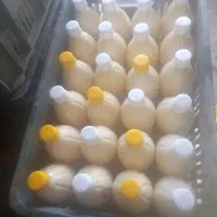 کشک گوسفندی محلی