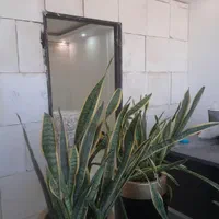 سلام    تولید   نصب   انواع   پنل گچی  دیوار  گچی