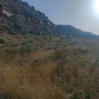 فروش-باغ-شهری-درگلدشت-سیاخ