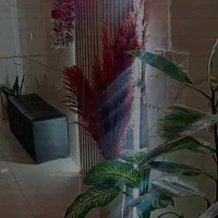 خدمات آرایشگری