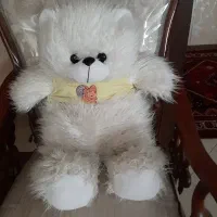 عروسک خرس شاسخین