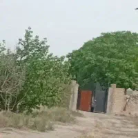 باغ-دور-چینی