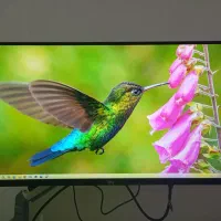 مانیتور Twisted Mind