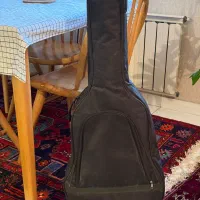 هاردکیس گیتار