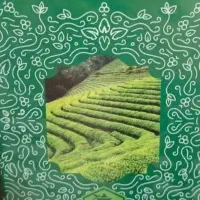 دمنوش لاغری