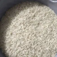 فروش برنج محلی فجر