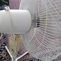 پنکه ایستاده