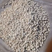 کشک