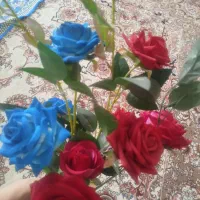 شاخه گل رز