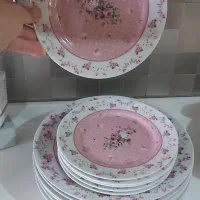 ۶عدد پیش دستی و شش عدد بشقاب پلویی آنجل گل صورتی