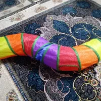 بازی گربه