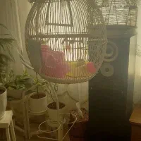 قفس طوطی عروس یاجوجه کاسکو قفس جل وکرک