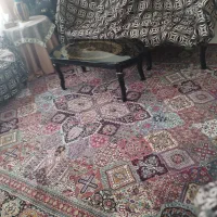 ۳ جفت فرش قرمز ۱۶ میلیون