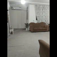 موکت پالاز