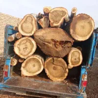 خرید چوب وهرس درختان
