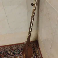 دمبوره قطغنی مایک دار