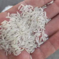 برنج ایرانی هاشمی درجه یک گیلان