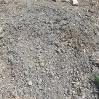 فروش کود کمپوست (عمده)