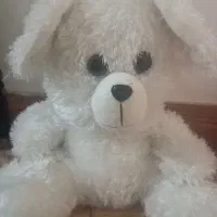 عروسک دخترانه