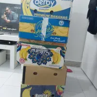 کارتن موز