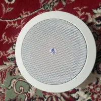 باند اسپیکر سقفی 100وات اصلی