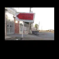 دام گوشتی تضمینی بشرط زنده ۲۴انلاین