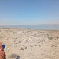 کارهای خورده کاری و خدماتی انجام میدم