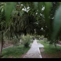 مغازه فاز صفر با موقعیت عالی