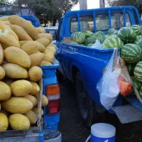 کارگر|استخدام خدمات فروشگاه و رستوران|کرمانشاه, |دیوار