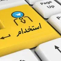 استخدام حسابدار