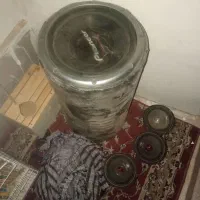 سیستم صوتی