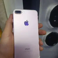 7+ رزگلد سالم
