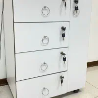 ترولی فشیال