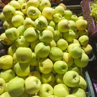 بسته بندی و فروش