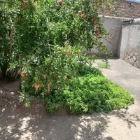 خانه-فروشی