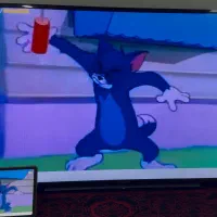 تلویزیون  ۴۸ اینچSONY BRAVIA