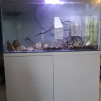 اکواریوم شیشه ۸ میل نو با پایه