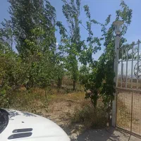 باغ-زیبا-و-دنج