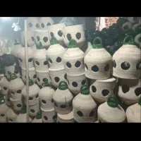 ابدونی گلی