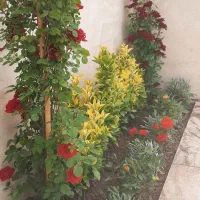 باغبان بهشت