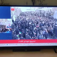 ال ای دی 43 اینچ TCL