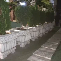 گلدان سیمانی با کاج