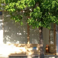 اجاره|اجارهٔ مغازه و غرفه|کامیاران, |دیوار