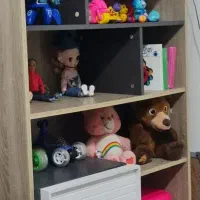 کتابخانه برند سنا چوب