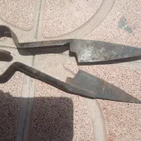 فروش قیچی پشم چینی گوسفند
