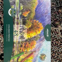 مداد رنگی اریا ارتیست ۴۸ جعبه ای